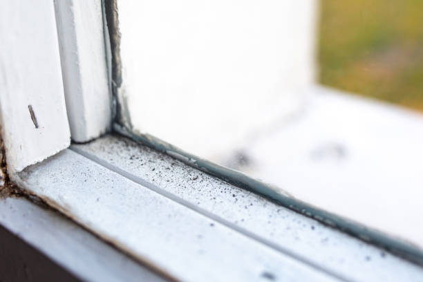 Biohazard Mold Removal in Eufaula, OK